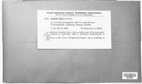 Image Associated With the Occurence